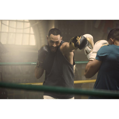 Reebok Gold Retail Boxing Glove